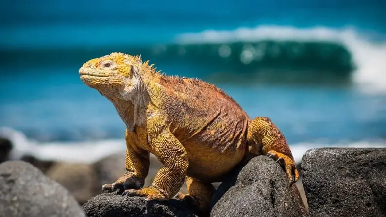 Places to be in AWE in front of nature: Galapagos Islands, Ecuador